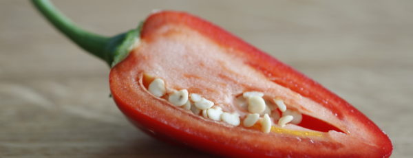 chili 2